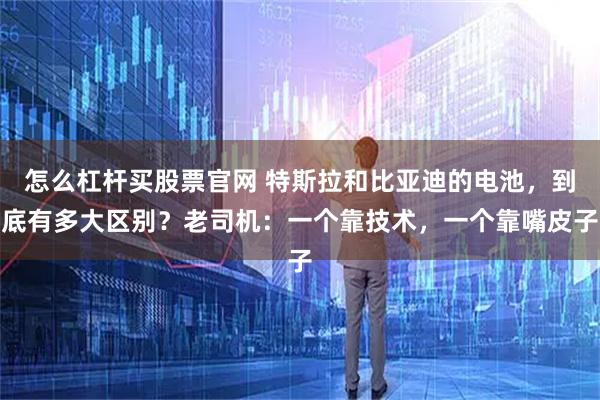 怎么杠杆买股票官网 特斯拉和比亚迪的电池，到底有多大区别？老司机：一个靠技术，一个靠嘴皮子