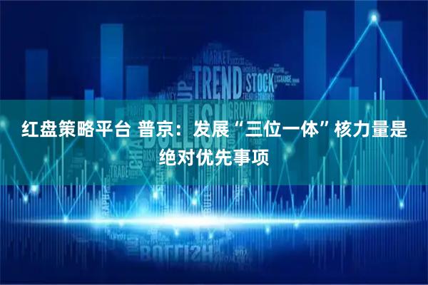 红盘策略平台 普京：发展“三位一体”核力量是绝对优先事项